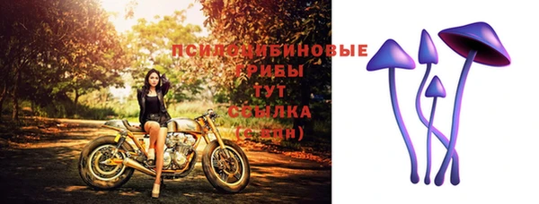 спайс Нефтекумск