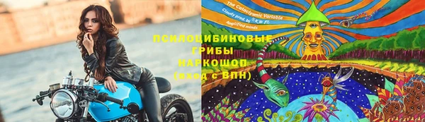 спайс Нефтекумск